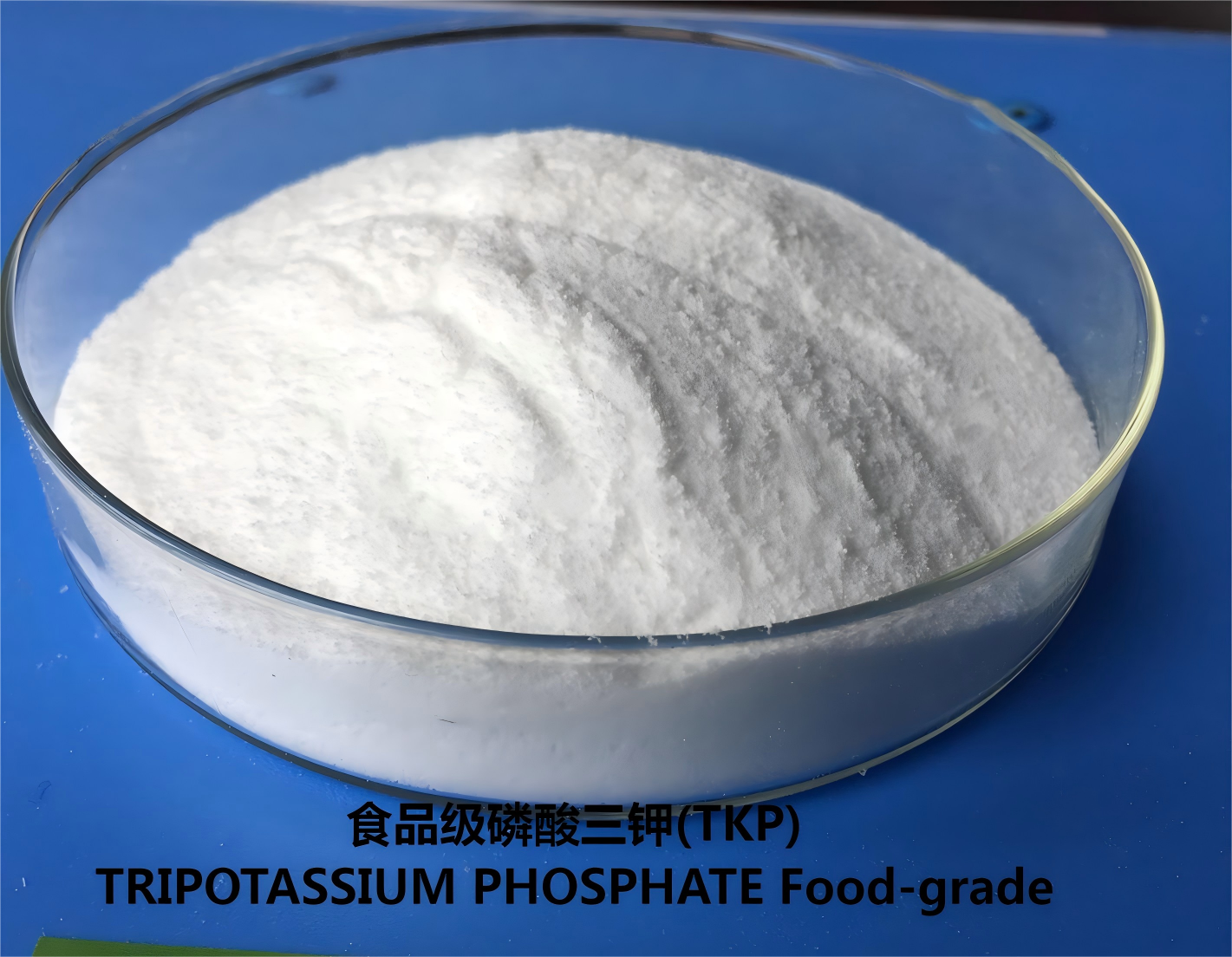 Vehicle traveling data recorder