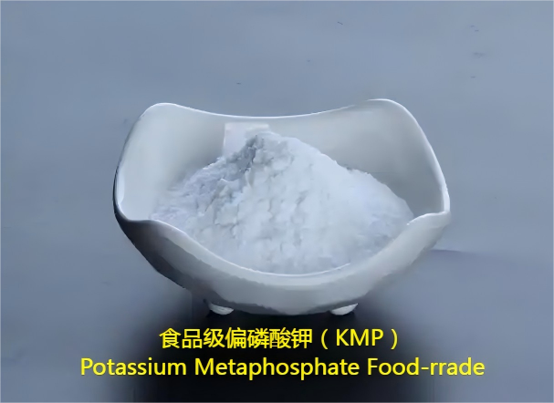 Vehicle traveling data recorder