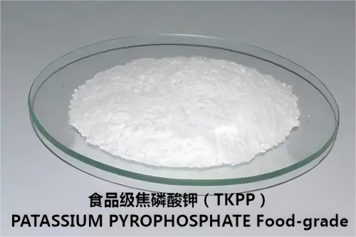 Vehicle traveling data recorder